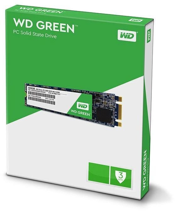 Western Digital Green 240GB M.2 SATA3 (WDS240G2G0B) kaina ir informacija | Vidiniai kietieji diskai (HDD, SSD, Hybrid) | pigu.lt