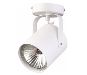 Потолочный светильник FLESZ, 31095 цена и информация | Потолочные светильники | pigu.lt