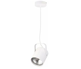 Подвесной светильник Flesz цена и информация | Люстры | pigu.lt