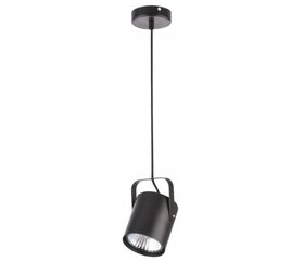 Подвесной светильник Flesz цена и информация | Люстры | pigu.lt