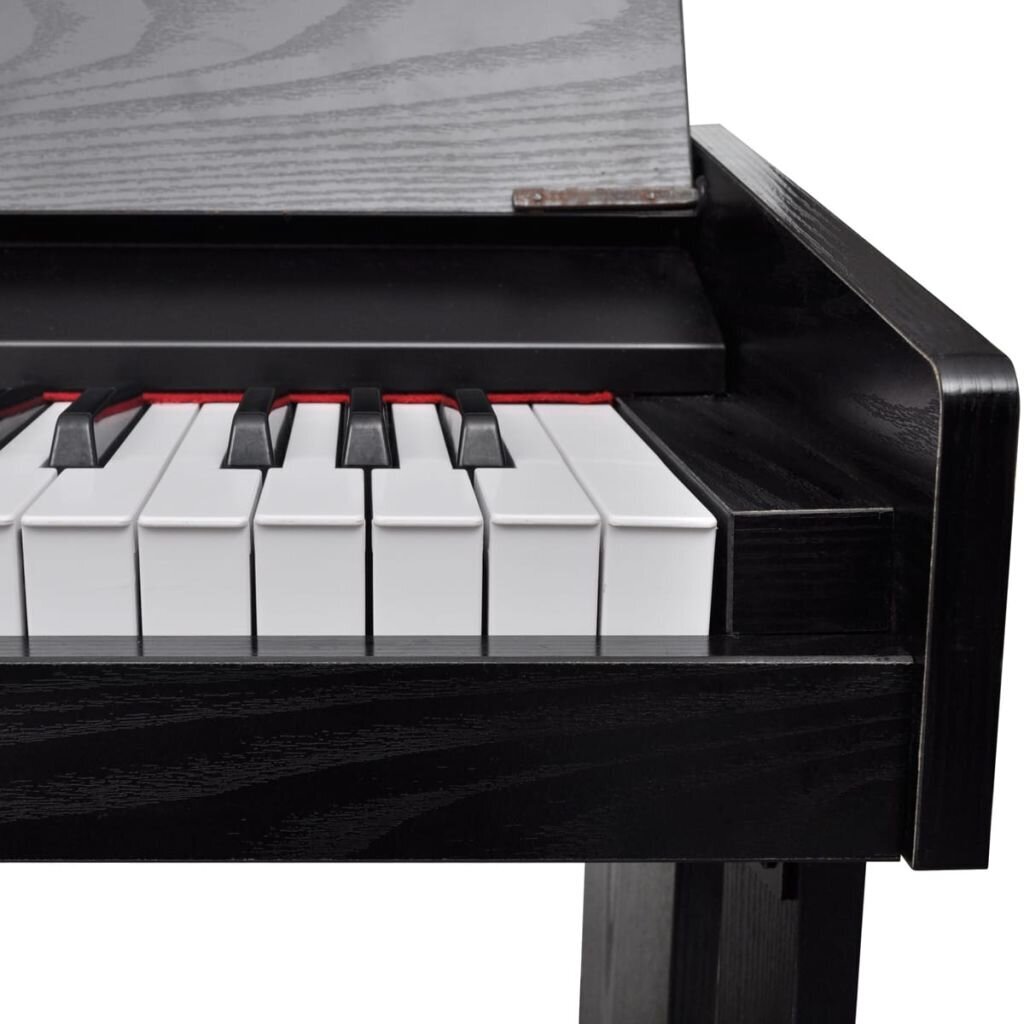 Elektrinis pianinas su stovu natoms цена и информация | Klavišiniai muzikos instrumentai | pigu.lt