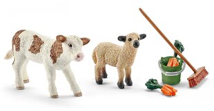 Figūrėlių rinkinys "Karvutės ir ėriuko priežiūra" Schleich kaina ir informacija | Žaislai berniukams | pigu.lt