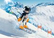 9288 PLAYMOBIL® Family Fun Slalomo slidininkas kaina ir informacija | Konstruktoriai ir kaladėlės | pigu.lt