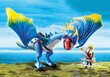 9247 PLAYMOBIL® Dragons, Astrida ir drakonas kaina ir informacija | Konstruktoriai ir kaladėlės | pigu.lt