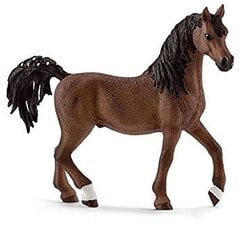 Фигурка лошади арабской породы лошади, Schleich цена и информация | Игрушки для мальчиков | pigu.lt