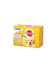 Pedigree Junior 36+12, 100g kaina ir informacija | Konservai šunims | pigu.lt