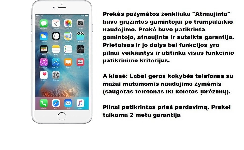 Apple iPhone 6 16GB, Sidabrinė (Atnaujinta) A-klasė kaina ir informacija | Mobilieji telefonai | pigu.lt