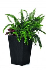 Цветочный горшок Rattan Planter S 23,6л, коричневый цена и информация | Горшки | pigu.lt