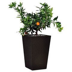 Keter vazonas Rattan Planter, L, 73 cm kaina ir informacija | Vazonai | pigu.lt