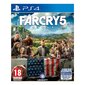 Žaidimas Far Cry 5 (ENG, PL), PS4 kaina ir informacija | Kompiuteriniai žaidimai | pigu.lt