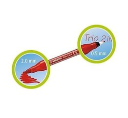 Flomasteriai dvipusiai Stabilo 10 spalvų kaina ir informacija | Piešimo, tapybos, lipdymo reikmenys | pigu.lt