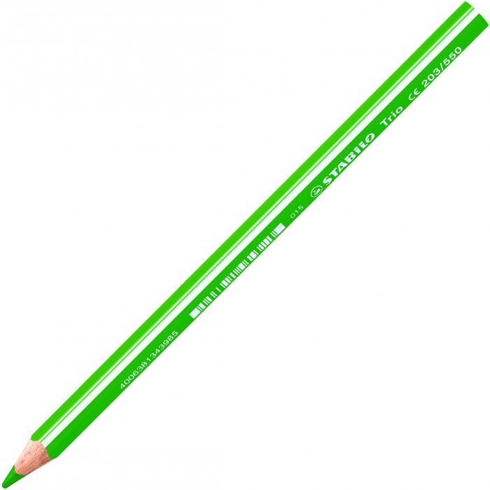 Spalvoti pieštukai Stabilo Trio, 12 spalvų цена и информация | Piešimo, tapybos, lipdymo reikmenys | pigu.lt