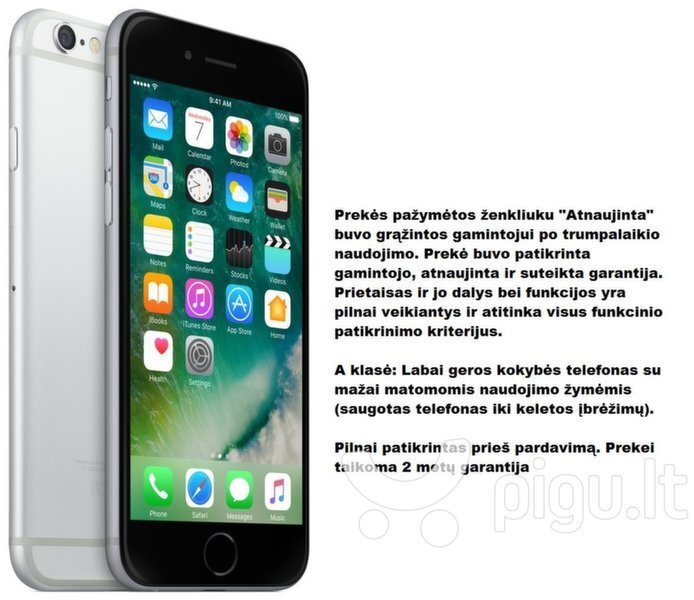 Apple iPhone 6 Plus 16GB, Silver (Atnaujintas) A-klasė цена и информация | Mobilieji telefonai | pigu.lt