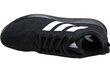 Vyriški sportiniai batai Adidas Ace 17.4 TR BB4436 kaina ir informacija | Kedai vyrams | pigu.lt