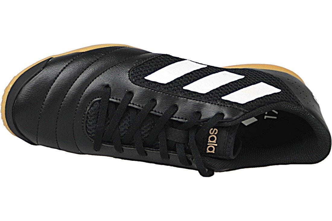 Vyriški sportiniai batai Adidas Ace 17.4 Sala S82224 kaina ir informacija | Kedai vyrams | pigu.lt