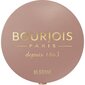 Skaistalai Bourjois Mono 2.5 g kaina ir informacija | Bronzantai, skaistalai | pigu.lt