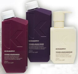 Восстанавливающий шампунь для волос Kevin Murphy Young Again Wash 250 мл цена и информация | Шампуни | pigu.lt