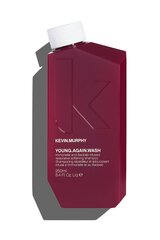 Восстанавливающий шампунь для волос Kevin Murphy Young Again Wash 250 мл цена и информация | Шампуни | pigu.lt