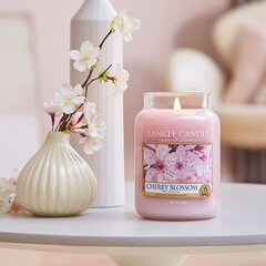 Ароматическая свеча с цветущей вишней Yankee Candle Cherry Blossom, 623 г цена и информация | Подсвечники, свечи | pigu.lt