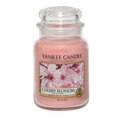 Ароматическая свеча с цветущей вишней Yankee Candle Cherry Blossom, 623 г цена и информация | Подсвечники, свечи | pigu.lt