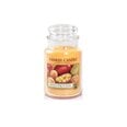 Kvapioji žvakė Yankee Candle Mango Peach Salsa 623 g