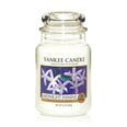 Kvapioji žvakė Yankee Candle Large Jar Midnight Jasmine 623 g