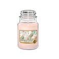 Kvapioji žvakė Yankee Candle Rainbow Cookie 623 g