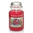 Kvapioji žvakė Yankee Candle Red Raspberry 623 g