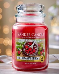 Ароматическая свеча Yankee Candle Red Raspberry 623 г цена и информация | Подсвечники, свечи | pigu.lt