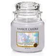 Kvapni žvakė Yankee Candle, 104 g