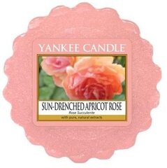 Kvepiantis vaškas Yankee Candle Sun-Drenched Apricot Rose 22 g kaina ir informacija | Žvakės, Žvakidės | pigu.lt