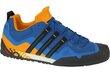 Kedai vyrams Adidas Terrex Swift Solo AQ5296, mėlyni kaina ir informacija | Kedai vyrams | pigu.lt