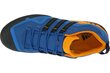 Kedai vyrams Adidas Terrex Swift Solo AQ5296, mėlyni kaina ir informacija | Kedai vyrams | pigu.lt
