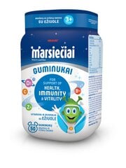 Maisto papildas Marsiečiai guminukai su ežiuole, 50 guminukų kaina ir informacija | Vitaminai, maisto papildai, preparatai imunitetui | pigu.lt