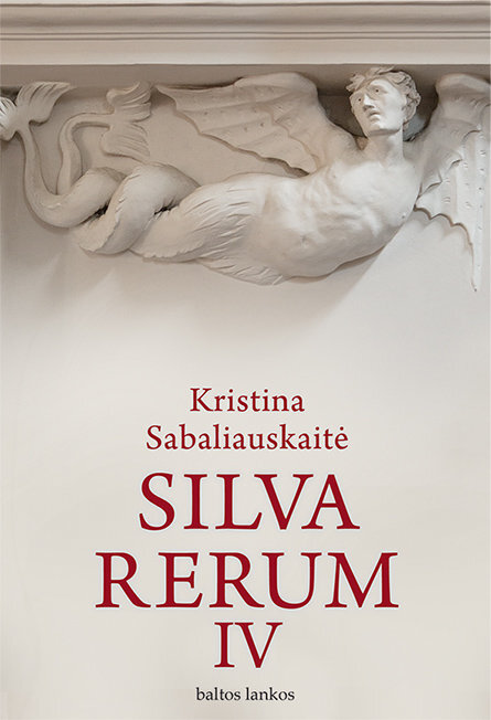 Knyga Silva rerum IV Kristina Sabaliauskaitė цена и информация | Romanai | pigu.lt