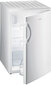 Gorenje RB3091ANW kaina ir informacija | Šaldytuvai | pigu.lt