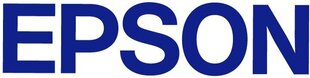 Epson C13S050167 цена и информация | Картриджи для лазерных принтеров | pigu.lt