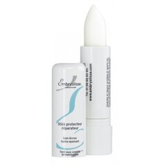 Lūpų balzamas Embryolisse Protective Repair Stick 4 g kaina ir informacija | Lūpų dažai, blizgiai, balzamai, vazelinai | pigu.lt