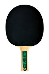 Ракетка для настольного тенниса Donic Schildkröt Champs Line 400 цена и информация | Ракетки для настольного тенниса, чехлы и наборы | pigu.lt