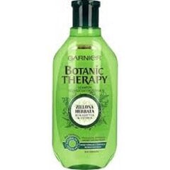 Plaukų šampūnas Garnier Botanic Therapy, 400 ml kaina ir informacija | Šampūnai | pigu.lt