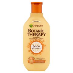 Šampūnas pažeistiems plaukams Garnier Botanic Therapy Honey & Propolis, 400 ml kaina ir informacija | Šampūnai | pigu.lt