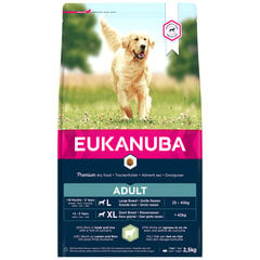 Eukanuba Adult Large Breeds suaugusiems didelių veislių šunims su ėriena ir ryžiais, 2.5 kg kaina ir informacija | Sausas maistas šunims | pigu.lt