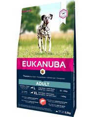 Eukanuba Adult All Breeds Salmon для взрослых собак с лососем, 2,5 кг цена и информация |  Сухой корм для собак | pigu.lt