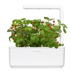 Click & Grow Smart Garden 3 kaina ir informacija | Daigyklos, lempos augalams | pigu.lt