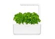 Click & Grow Smart Garden 3 kaina ir informacija | Daigyklos, lempos augalams | pigu.lt