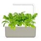 Click & Grow Smart Garden 3 kaina ir informacija | Daigyklos, lempos augalams | pigu.lt