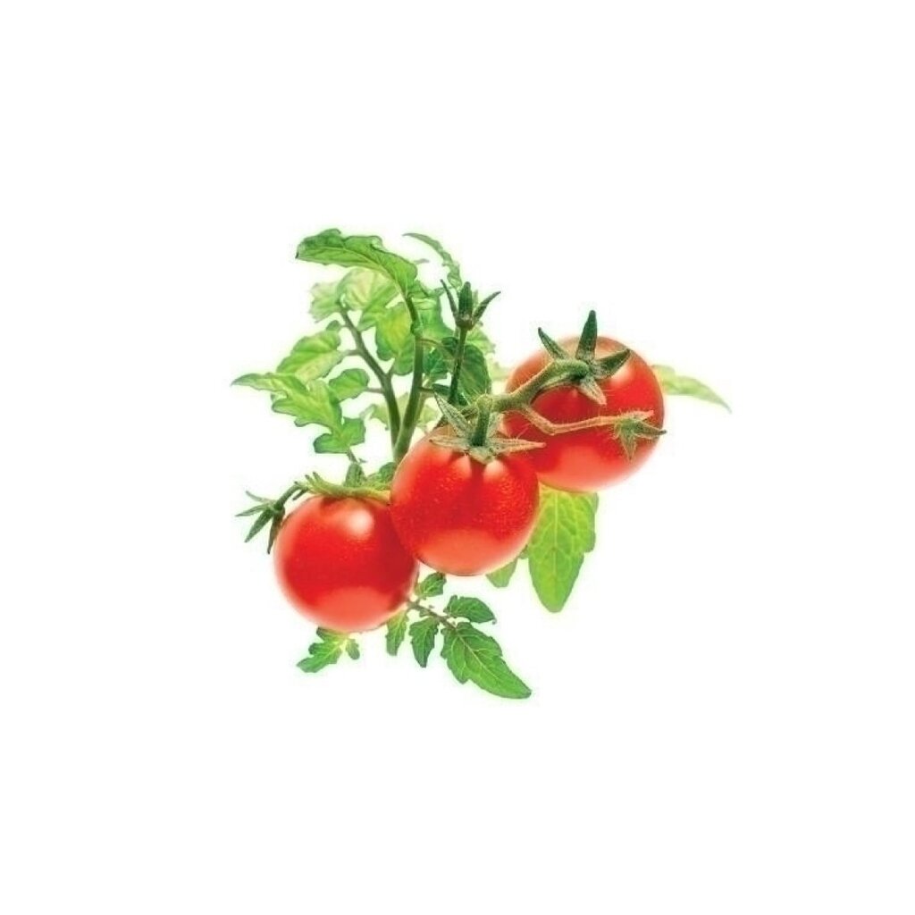 Click & Grow Smart Garden kaina ir informacija | Daigyklos, lempos augalams | pigu.lt