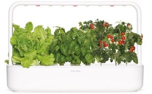 Click & Grow Smart Garden 9 цена и информация | Проращиватели, лампы для растений | pigu.lt