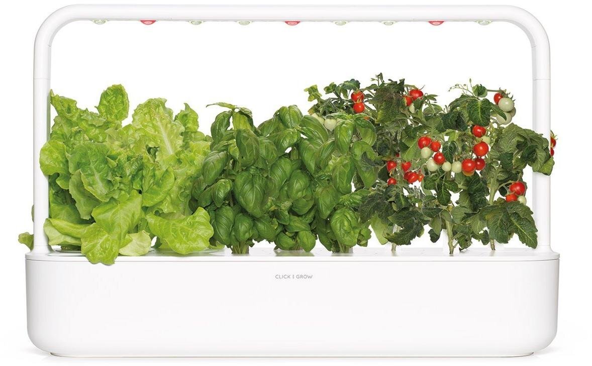 Daigyklė Click & Grow Smart Garden 9 kaina | pigu.lt