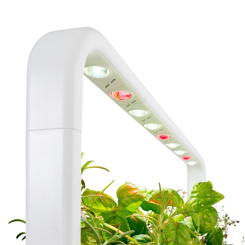 Click & Grow Smart Garden 9 цена и информация | Daigyklos, lempos augalams | pigu.lt